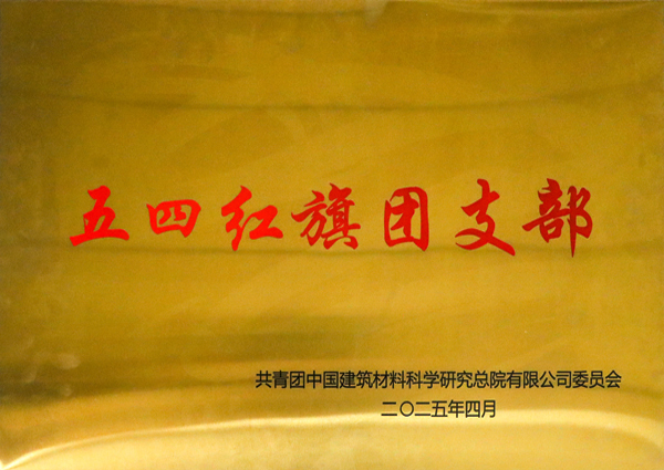 总院团委五四红旗团支部.jpg